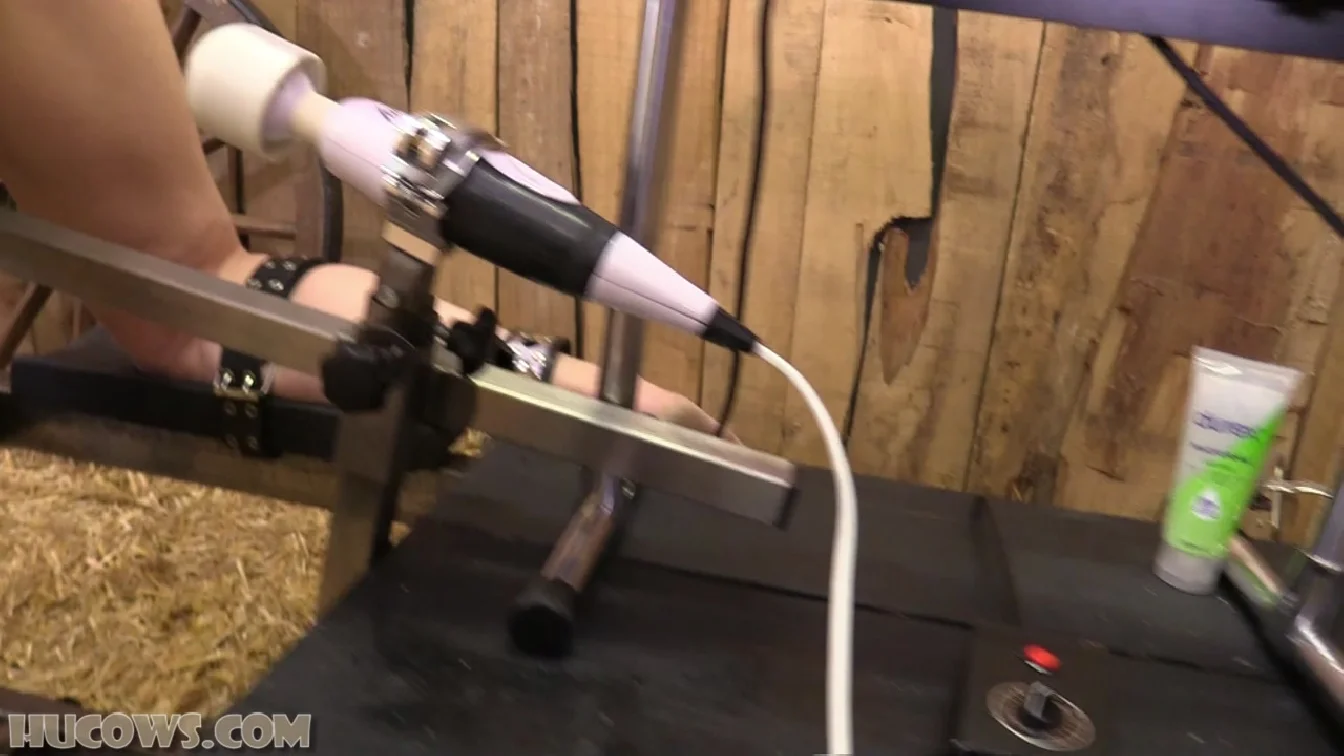 HuCows Alice Maze Anal Fucking Machine XXX